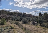 Terreno no urbanizable en venta en la España, Arens de Lledó, ref: TR295083 foto