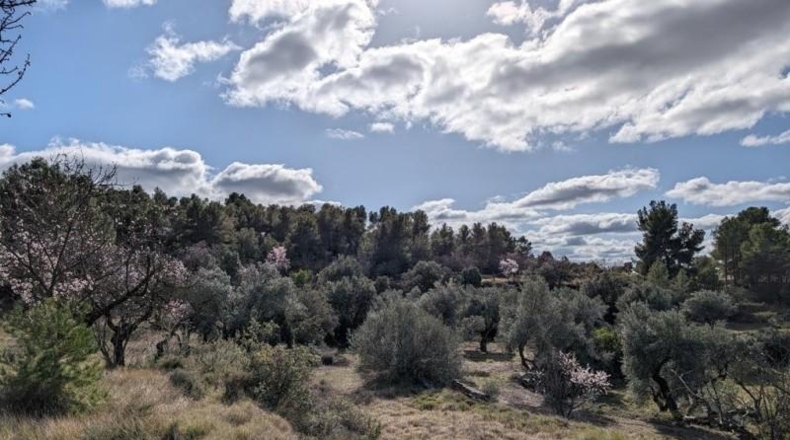 Teruel - Аренс де Льедо - 25781m2