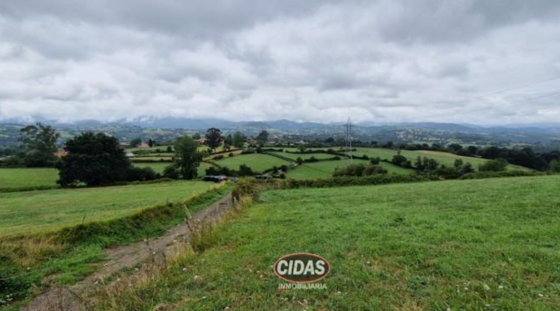 Asturias - Oviedo - 5120m2