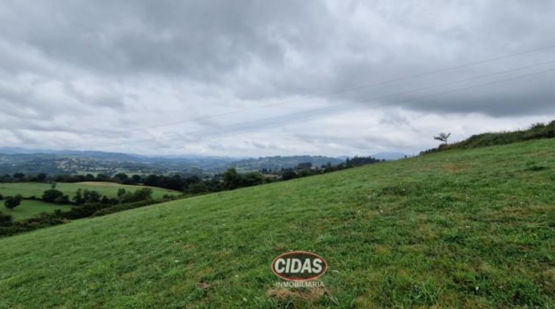 Asturias - Oviedo - 5120m2
