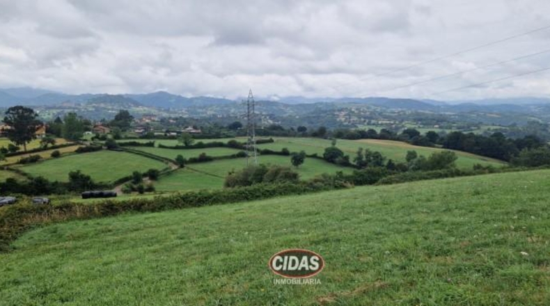 Asturias - Oviedo - 5120m2