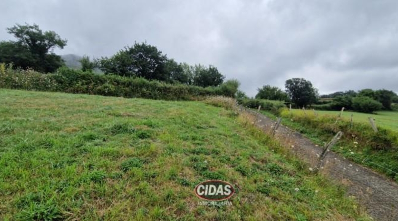 Asturias - Oviedo - 5120m2