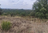 Parcela urbanizable en venta en la España, Garrafe de Torío, ref: TR281010 foto