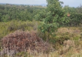 Parcela urbanizable en venta en la España, Garrafe de Torío, ref: TR124216 foto
