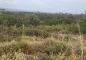 Parcela urbanizable en venta en la España, Garrafe de Torío, ref: TR124216 foto