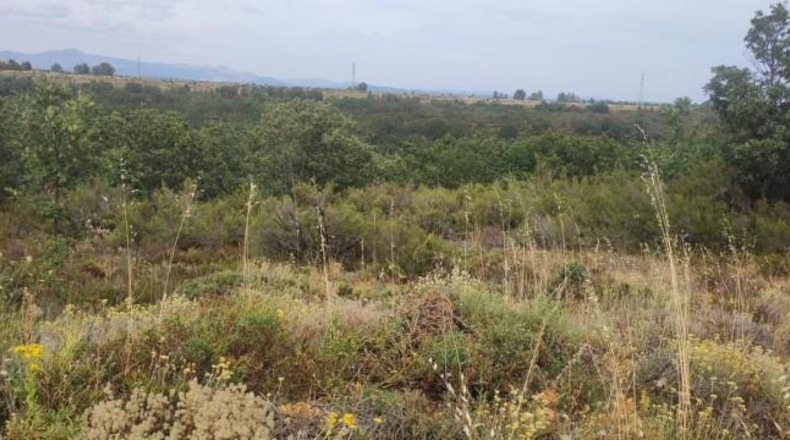 Leon - Garrafe de Torío - 1256m2