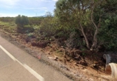 Terreno no urbanizable en venta en la España, Castellón de la Plana, ref: TR231255 foto