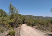 Terreno no urbanizable en venta en la España, Vilafamés, ref: TR314078 foto