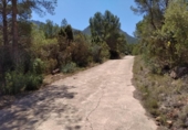 Terreno no urbanizable en venta en la España, Vilafamés, ref: TR314078 foto
