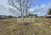 Terreno no urbanizable en venta en la España, Puenteareas, ref: TR343339 foto