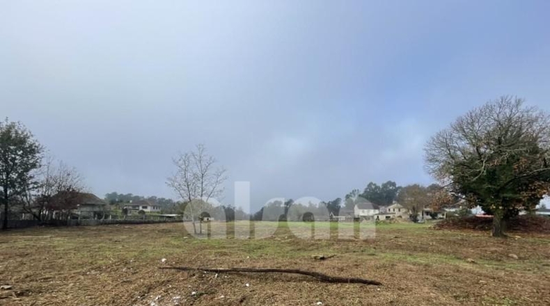 Pontevedra - Puenteareas - 1684m2