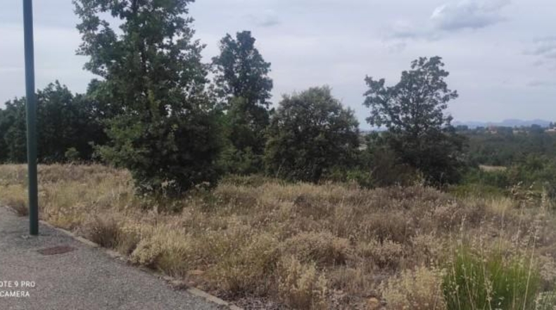 Leon - Garrafe de Torío - 1265m2