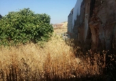Parcela urbanizable en venta en la España, Estación de Espiel, ref: TR347452 foto