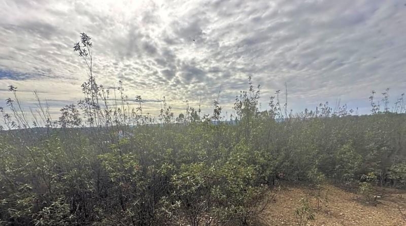 Sevilla - El Ronquillo - 1000m2