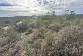 El Ronquillo 1000&nbsp;m²