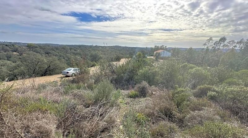 Sevilla - El Ronquillo - 1000m2