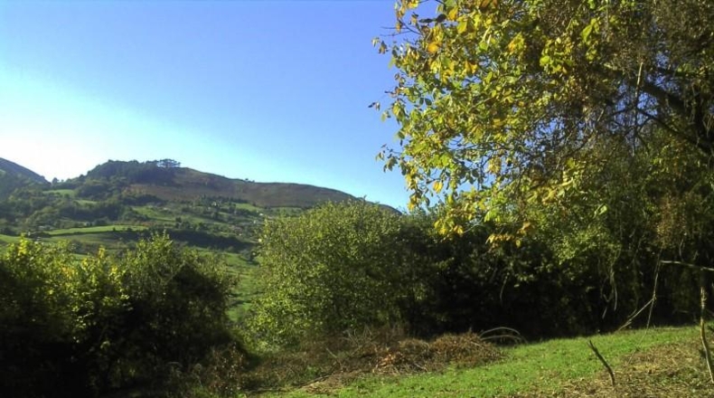 Asturias - Gijón - 2360m2