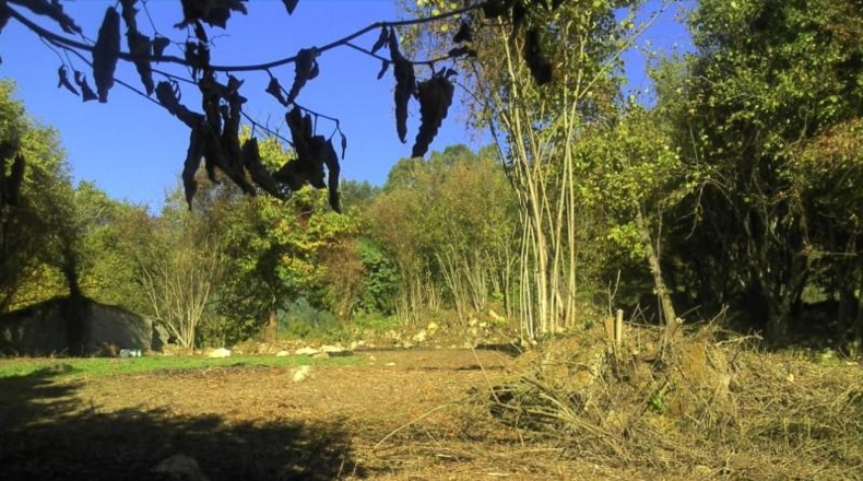 Asturias - Gijón - 2360m2