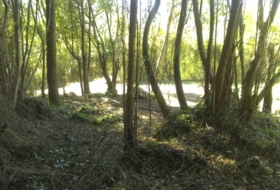 Foto 13
