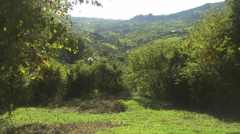 Asturias - Gijón - 2360m2
