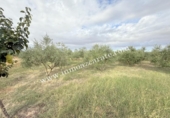 Terreno no urbanizable en venta en la España, Lerín, ref: TR340635 foto