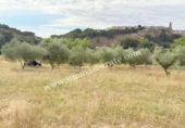 Terreno no urbanizable en venta en la España, Lerín, ref: TR340635 foto