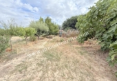 Terreno no urbanizable en venta en la España, Lerín, ref: TR340635 foto