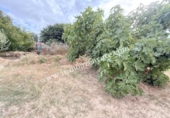 Terreno no urbanizable en venta en la España, Lerín, ref: TR340635 foto
