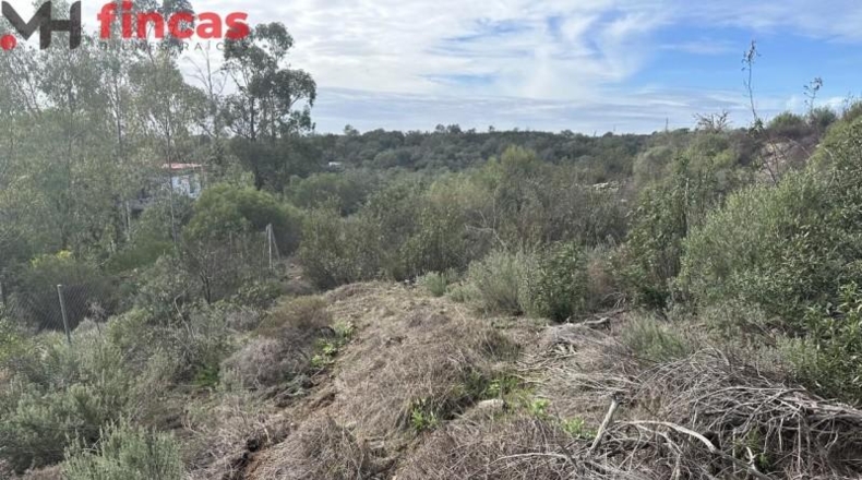 Sevilla - El Ronquillo - 1000m2