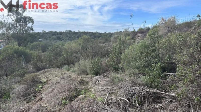 Sevilla - El Ronquillo - 1000m2