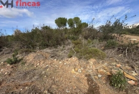 El Ronquillo 1000&nbsp;m²