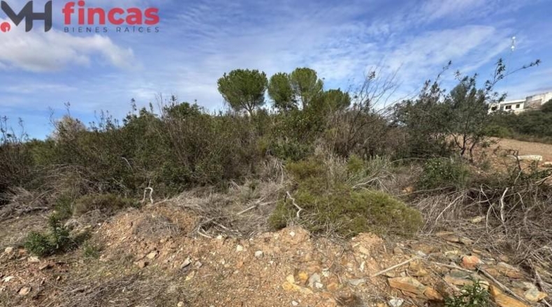 Sevilla - El Ronquillo - 1000m2