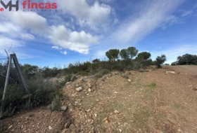 El Ronquillo 1000&nbsp;m²