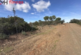 El Ronquillo 1000&nbsp;m²