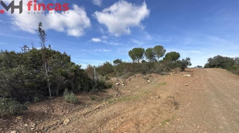 Sevilla - El Ronquillo - 1000m2