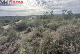 El Ronquillo 1000&nbsp;m²