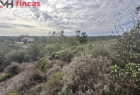 El Ronquillo 1000&nbsp;m²