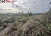 Terreno no urbanizable en venta en la España, El Ronquillo, ref: TR276740 foto