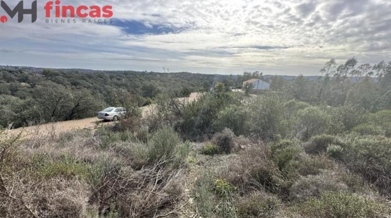 Sevilla - El Ronquillo - 1000m2