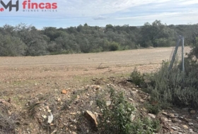 El Ronquillo 1000&nbsp;m²