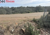 Terreno no urbanizable en venta en la España, El Ronquillo, ref: TR276740 foto