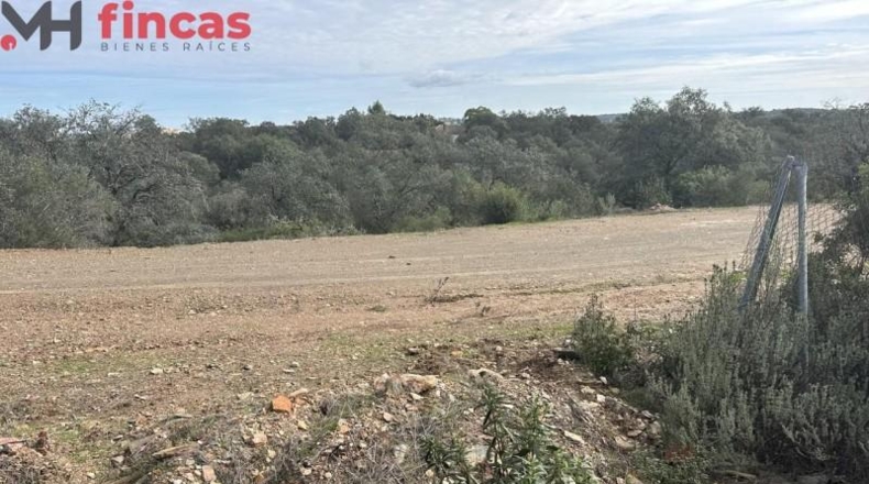 Sevilla - El Ronquillo - 1000m2
