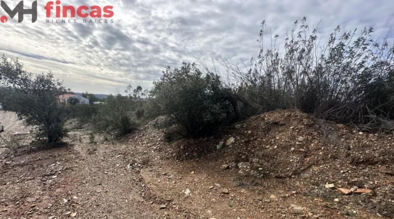 Sevilla - El Ronquillo - 1000m2