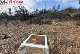 El Ronquillo 1000&nbsp;m²