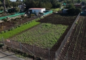 Terreny no urbanitzable en venda a la España, Las Cabezas de San Juan, ref.: TR123278 foto