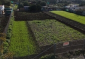 Terreny no urbanitzable en venda a la España, Las Cabezas de San Juan, ref.: TR123278 foto