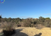 Terreno no urbanizable en venta en la España, Archena, ref: TR219858 foto