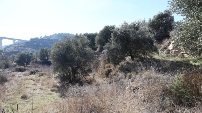 Teruel - Alcañiz - 5832m2