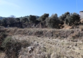 Non-developable land for sale on España, Alcañiz, ref: TR127276 photo