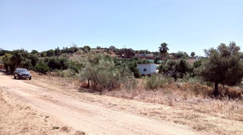 Sevilla - Castilblanco de los Arroyos - 2500m2